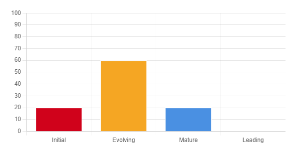 partner-maturity-model